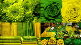 Yellow-Green --no text, mockup --ar 16:9 --seed 777